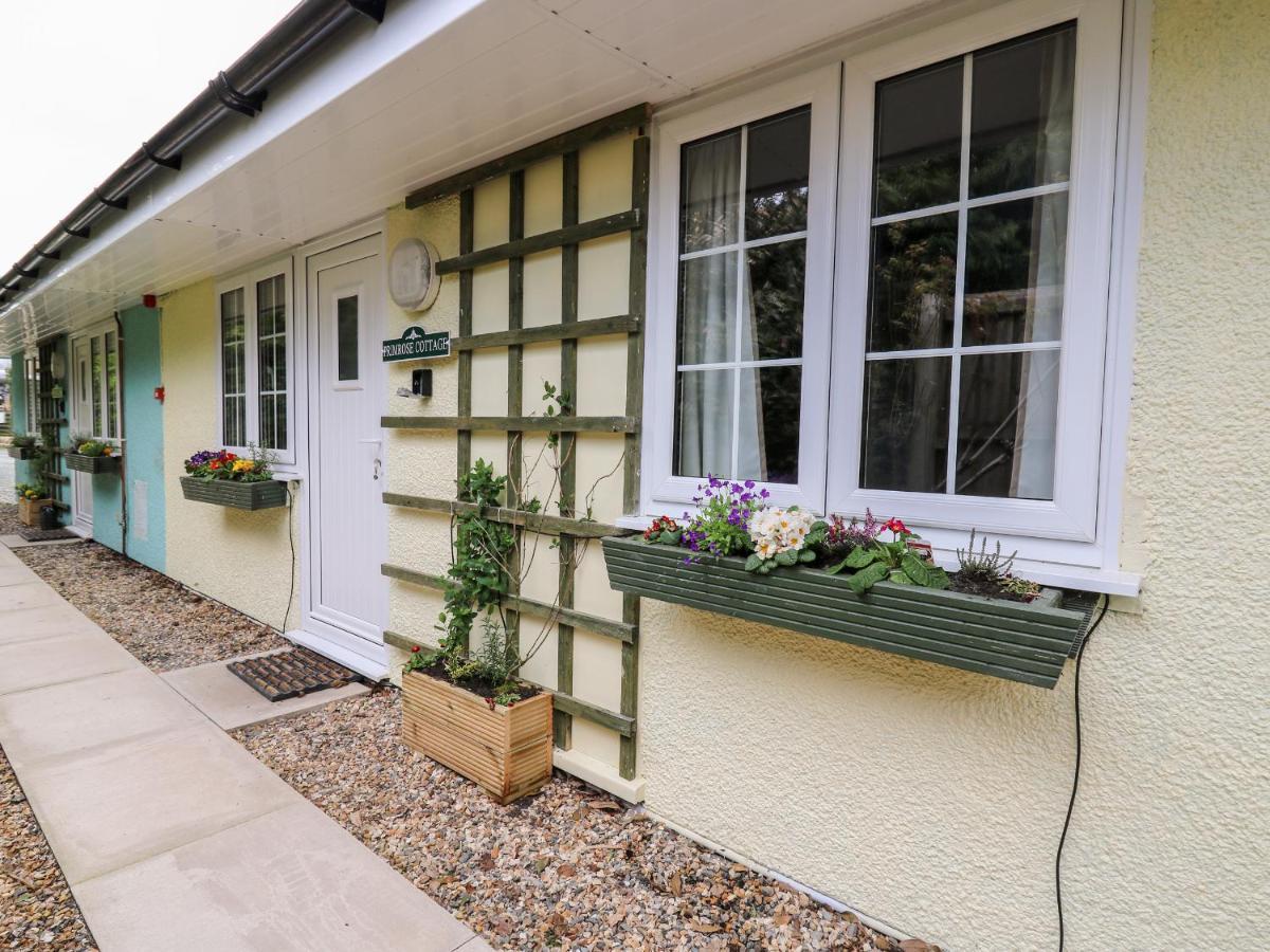 Primrose Cottage Llandrindod Wells Esterno foto